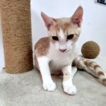 Hugo, Bild 2